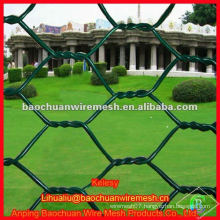 Green powder coated decorative woven wire mesh protecting and segregation hexagonal wire netting
